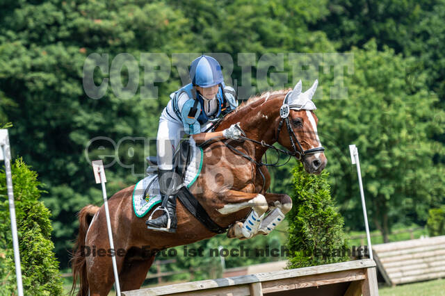 Goldene Schärpe 2021 - Ponys