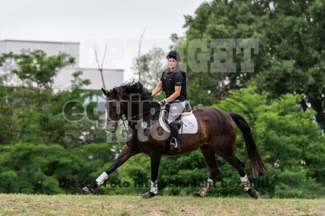 Late-Entry-Vielseitigkeit Langenfeld (11.+13./14.06.2020)