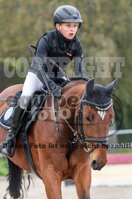 Goldene Schärpe 2020 - Pferde