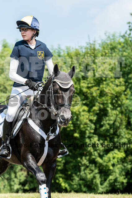 Goldene Schärpe 2021 - Ponys