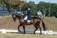 Kronenberg - De Peelbergen (August 2020)