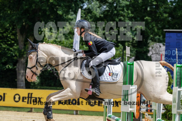 Goldene Schärpe 2021 - Ponys