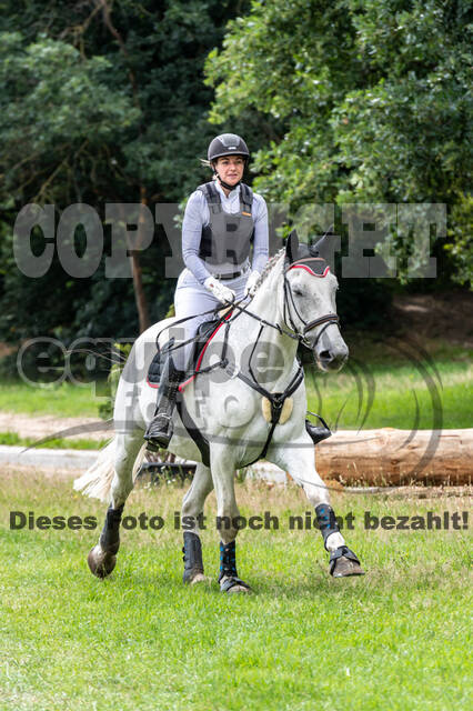 Late-Entry-Vielseitigkeit Langenfeld (06.+07.07.2020)