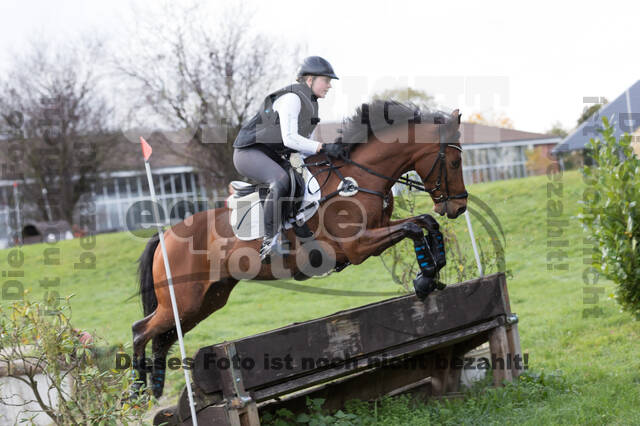 IGV Lehrgang der Sieger der Cups mit Frank Ostholt