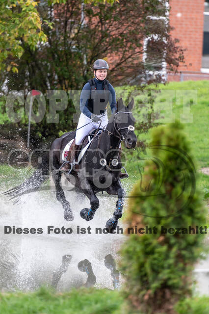 Goldene Schärpe 2020 - Pferde