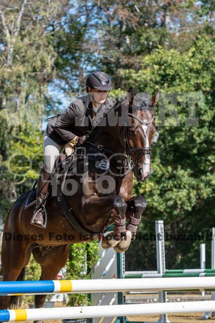 RFV Dinslaken-Hiesfeld (Herbstturnier)