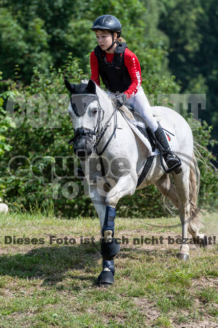 Goldene Schärpe 2021 - Ponys