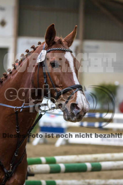 Vierkampf Kreismeisterschaft Wesel 2018