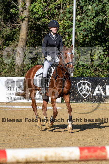 RFV Dinslaken-Hiesfeld (Herbstturnier)