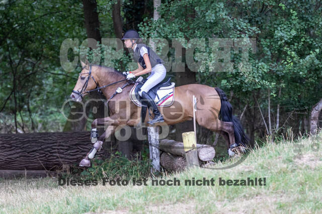 Late-Entry Vielseitigkeit Hamminkeln/Wesel (01.+02.08.2020)