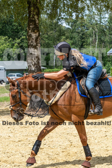 Hunter Geländetraining 10.07.2021 (Sonsbeck)