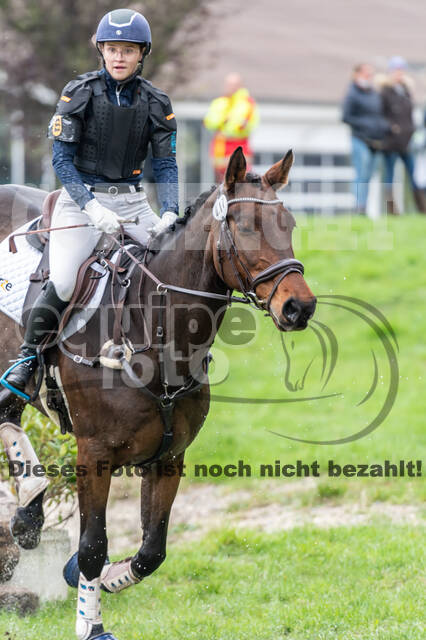 Goldene Schärpe 2020 - Pferde