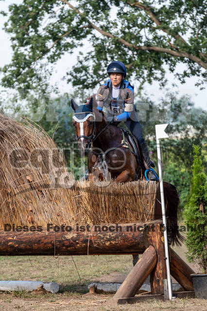 De Peelbergen (August 2020)