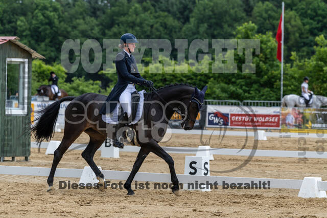 Westerstede Horse Trials 2021