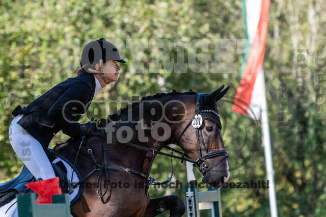 RFV Dinslaken-Hiesfeld (Herbstturnier)