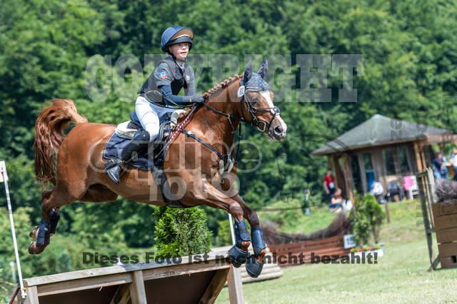 Goldene Schärpe 2021 - Ponys