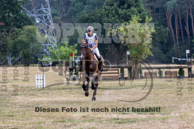 Late-Entry Vielseitigkeit Hamminkeln/Wesel (01.+02.08.2020)
