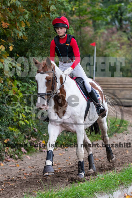 Goldene Schärpe 2020 - Pferde