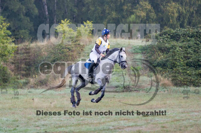 Vielseitigkeitsturnier RSV St. Hubertus Wesel Obrighoven