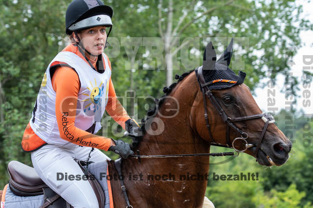 Late-Entry Vielseitigkeit Hamminkeln/Wesel (01.+02.08.2020)