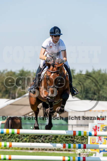Kronenberg - De Peelbergen (August 2020)