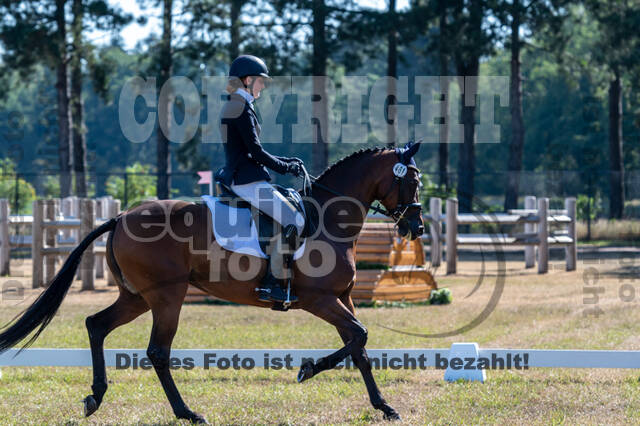 Kronenberg - De Peelbergen (August 2020)