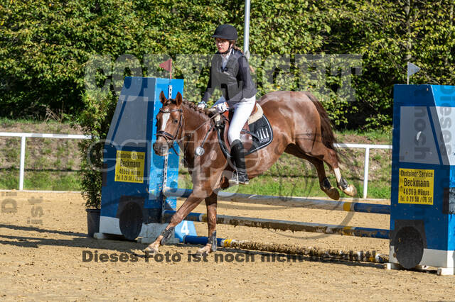 RFV Dinslaken-Hiesfeld (Herbstturnier)