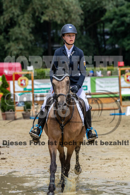 Goldene Schärpe 2021 - Ponys