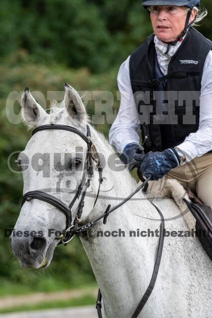 Late-Entry-Vielseitigkeit Langenfeld (06.+07.07.2020)