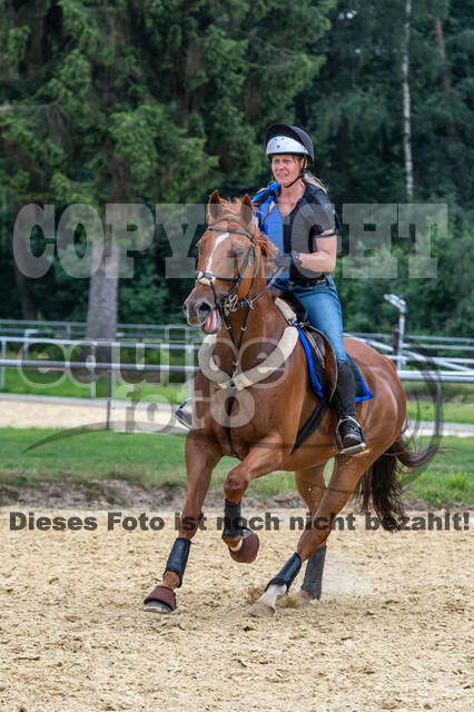 Hunter Geländetraining 10.07.2021 (Sonsbeck)