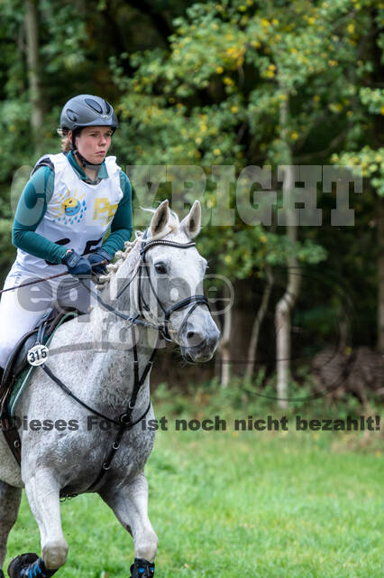 Vielseitigkeit RSV Wesel Obrighoven (26.+27.09.2020)