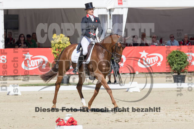 FEI European Championship Eventing 2017