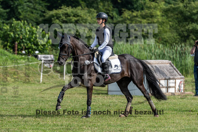 Goldene Schärpe 2021 - Ponys