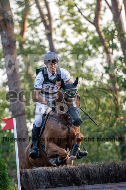 De Peelbergen (August 2020)