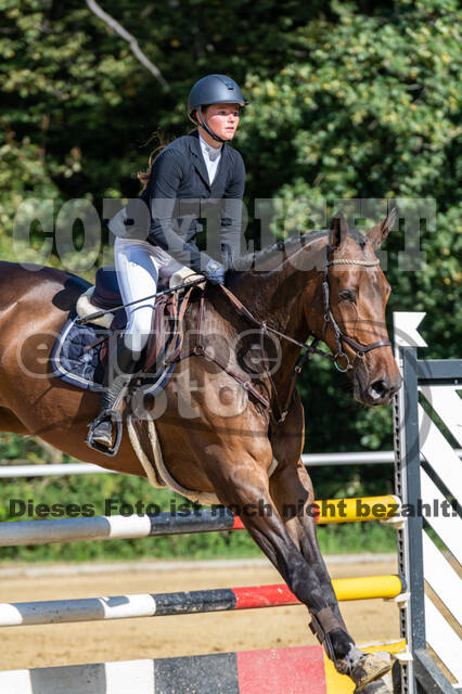 RFV Dinslaken-Hiesfeld (Herbstturnier)