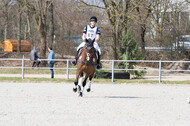 Eventing Langenfeld 2018
