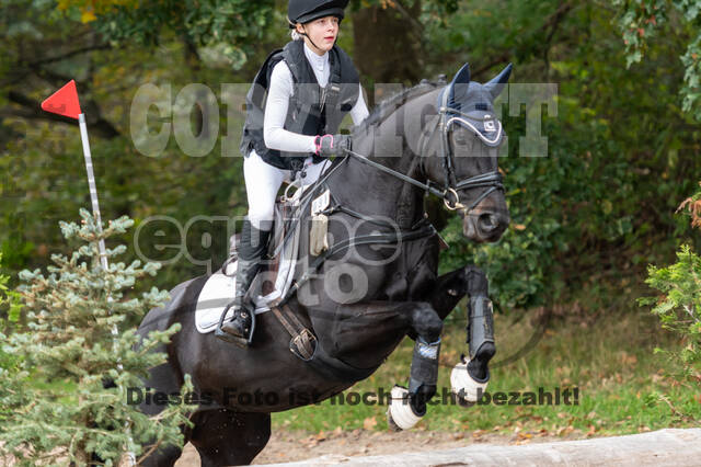 Goldene Schärpe 2020 - Pferde