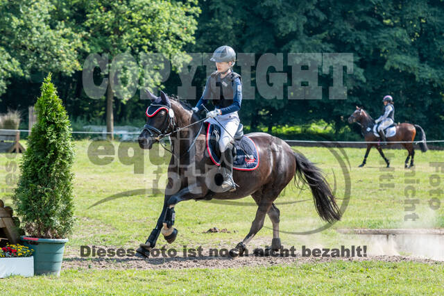 Goldene Schärpe 2021 - Ponys
