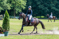 Goldene Schärpe 2021 - Ponys