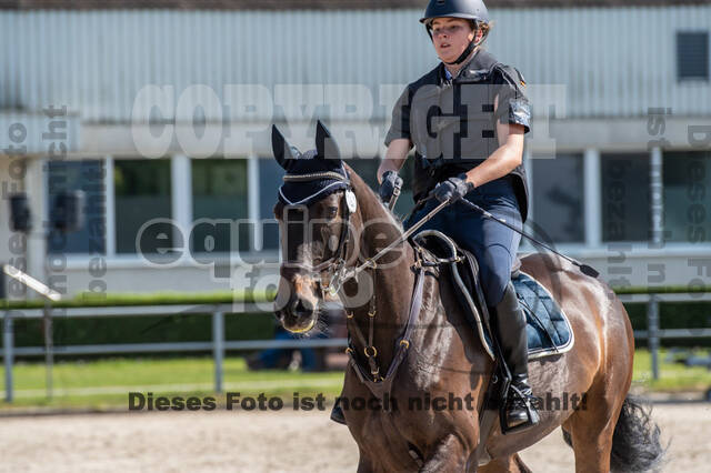 Test of Choise Langenfeld (29.+30.05.2021)