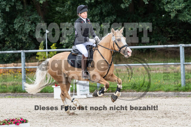 Late-Entry-Vielseitigkeit Langenfeld (06.+07.07.2020)