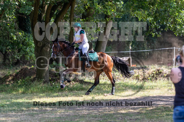 Late-Entry Vielseitigkeit Hamminkeln/Wesel (01.+02.08.2020)