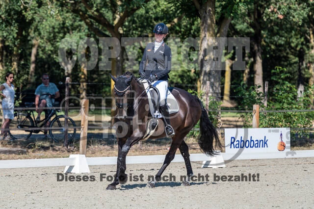 Kronenberg - De Peelbergen (August 2020)