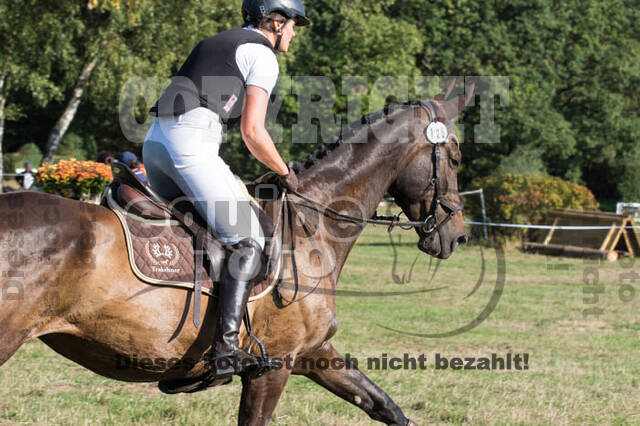 Vielseitigkeitsturnier RSV St. Hubertus Wesel Obrighoven