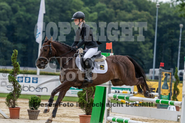 Goldene Schärpe 2021 - Ponys