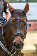 Hunter Geländetraining 10.07.2021 (Sonsbeck)