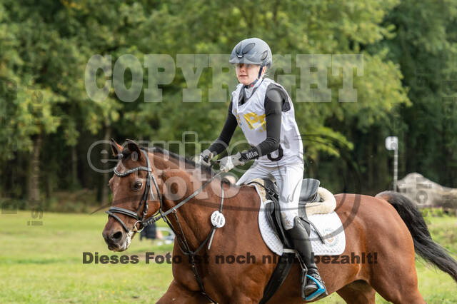 Vielseitigkeit RSV Wesel Obrighoven (26.+27.09.2020)