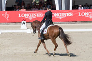 FEI European Championship Eventing 2017