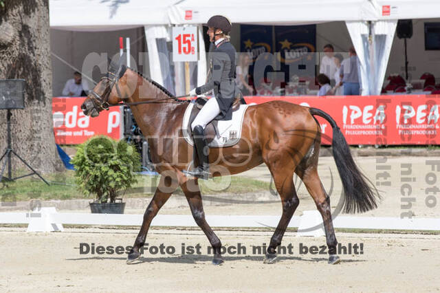 FEI European Championship Eventing 2017