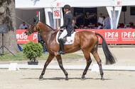 FEI European Championship Eventing 2017